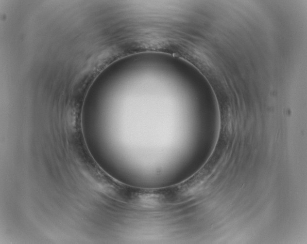 X0000088710268200705311405