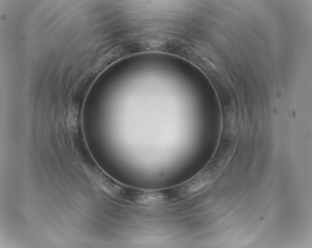 X0000088710274200705311405