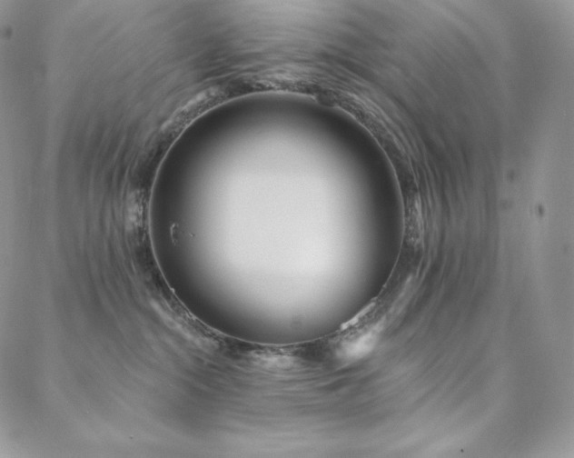 X0000088710284200705311405