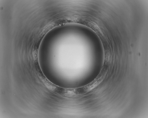 X0000088710285200705311405