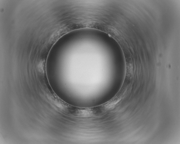 X0000088710286200705311405