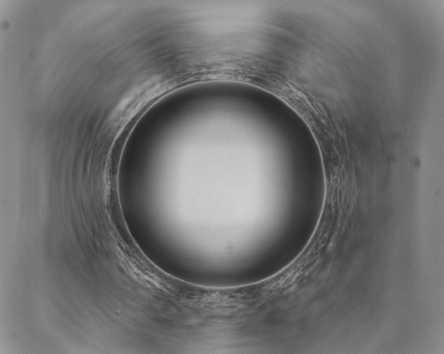 X0000088710290200705311404