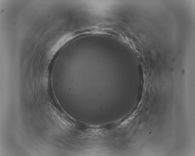 X0000088710295200705311404