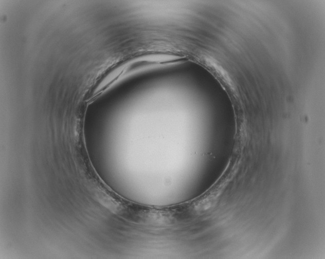 X0000088710305200705311404