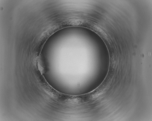X0000088710307200705311404