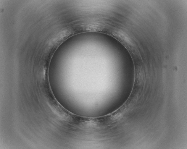 X0000088710310200705311404