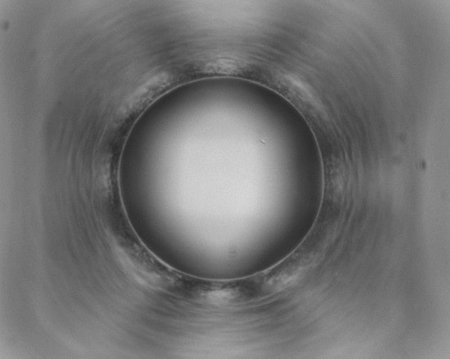 X0000088710312200705311404