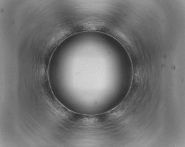 X0000088710314200705311404