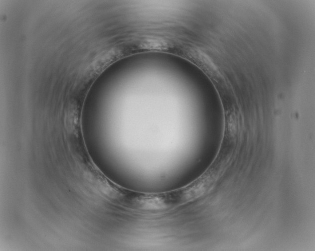 X0000088710322200705311404