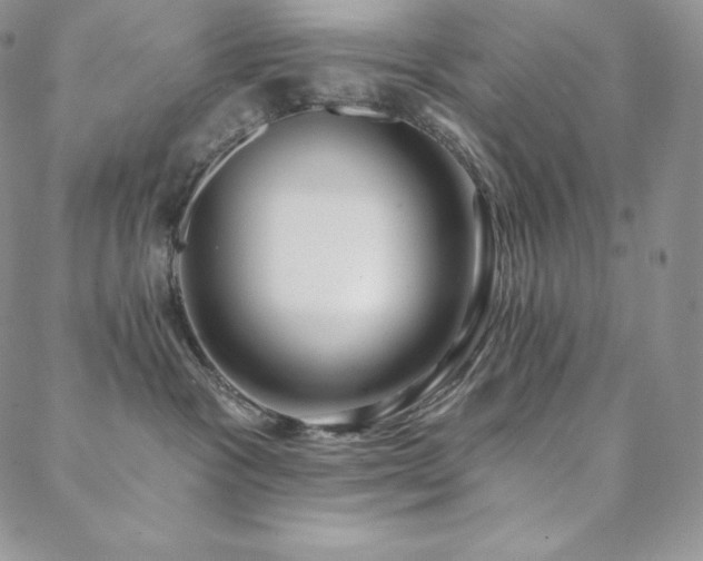 X0000088710333200705311404