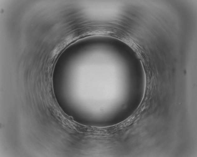 X0000088710337200705311403