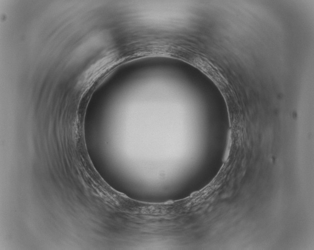 X0000088710338200705311403