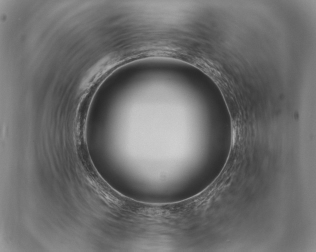X0000088710339200705311403