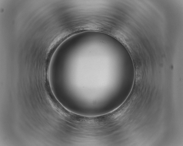 X0000088710349200705311403