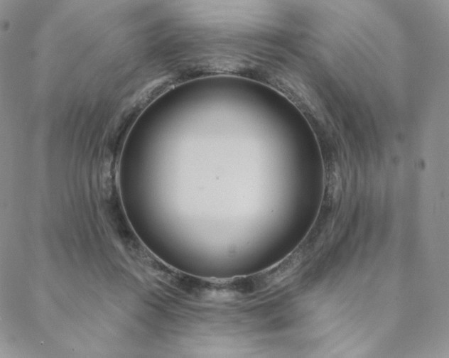 X0000088710360200705311403
