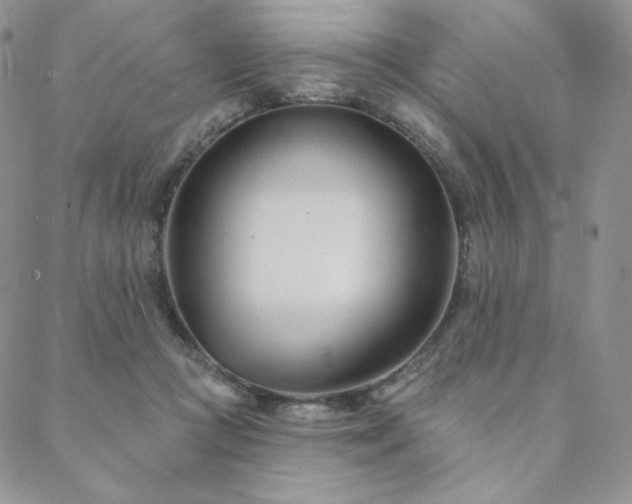 X0000088710361200705311403