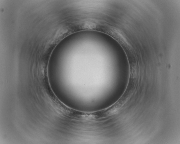X0000088710363200705311403