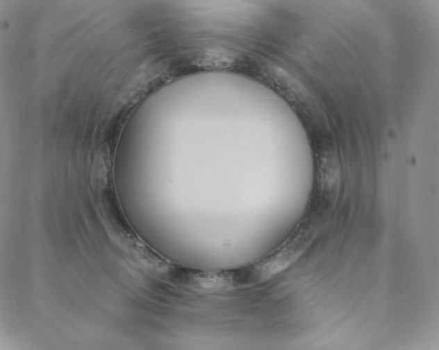 X0000088710370200705311403