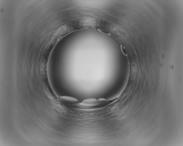X0000088710379200705311404