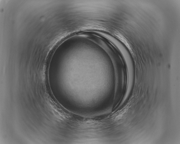 X0000088710387200705311403