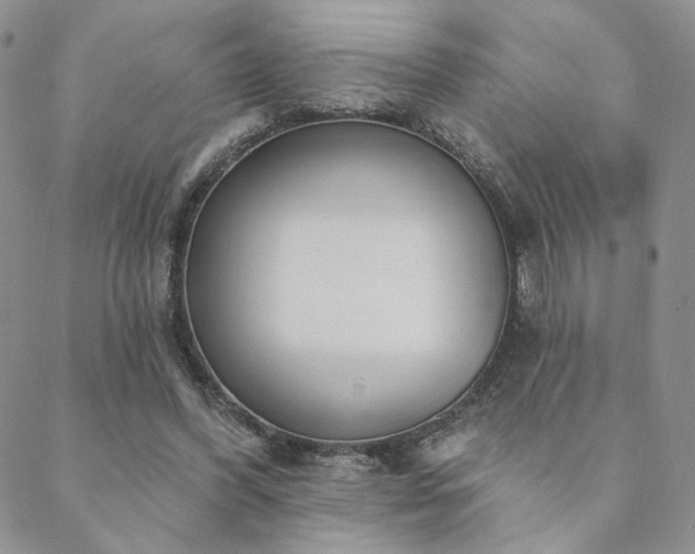 X0000088710396200705311403