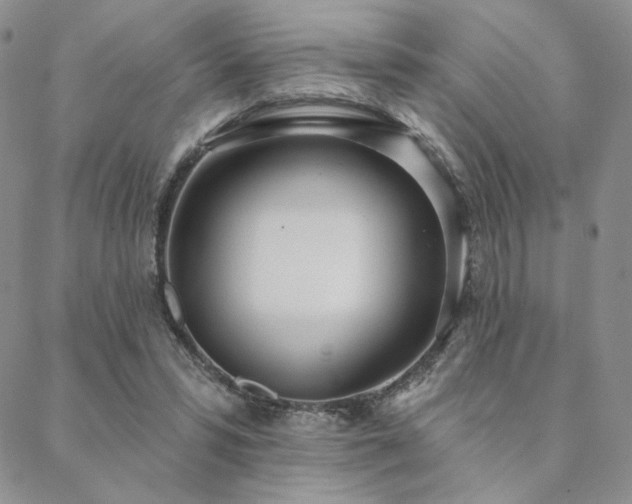 X0000088710399200705311403