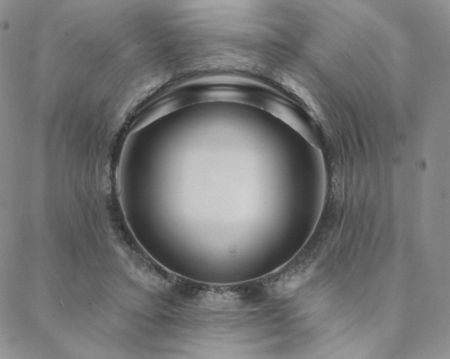 X0000088710403200705311403
