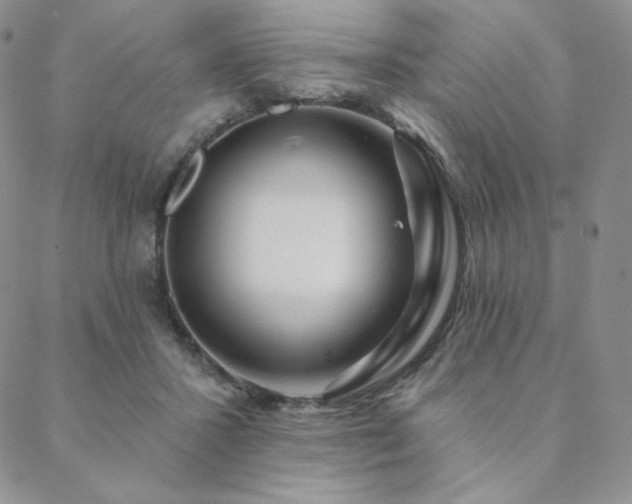 X0000088710407200705311403