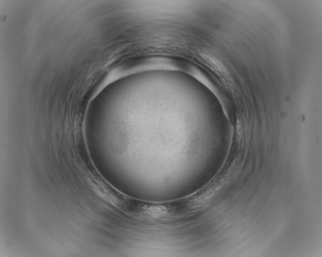 X0000088710409200705311403