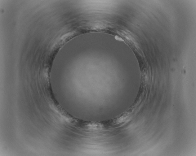 X0000088710415200705311402