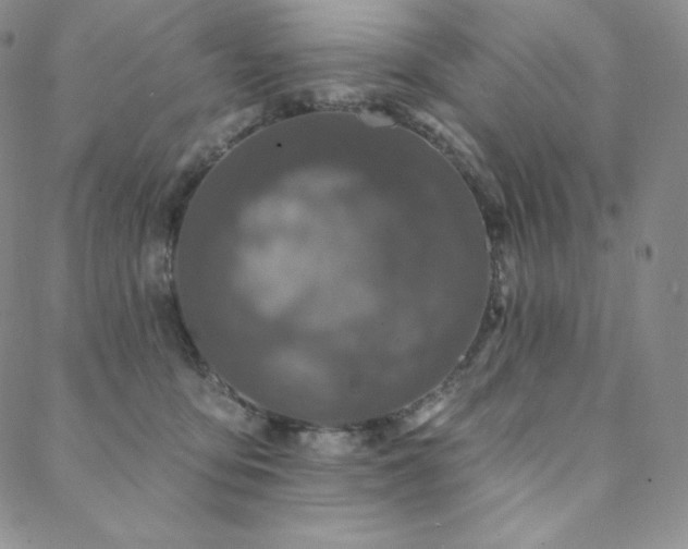 X0000088710419200705311402