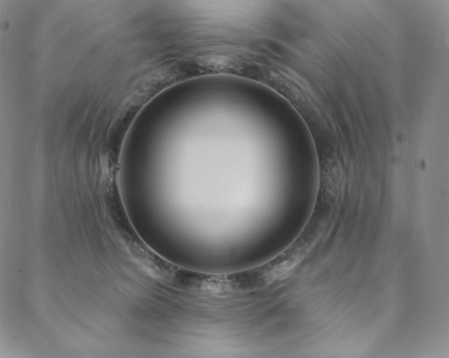 X0000088710420200705311402