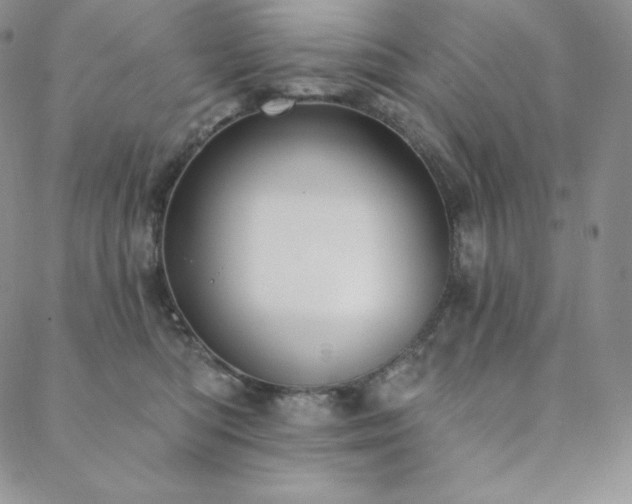 X0000088710422200705311402