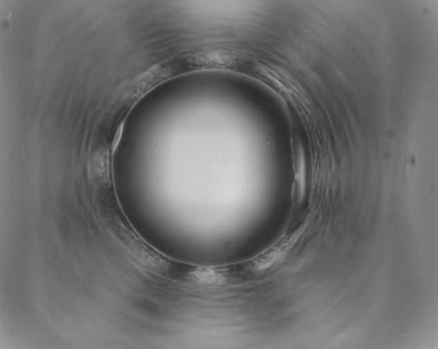 X0000088710425200705311402