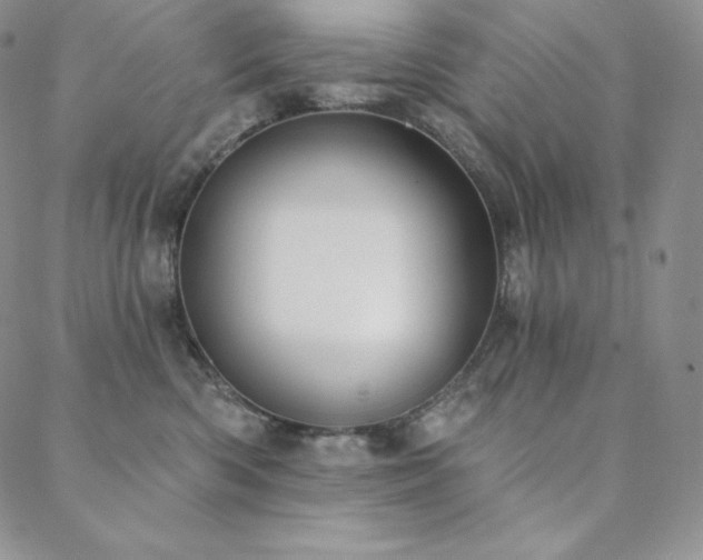 X0000088710426200705311402