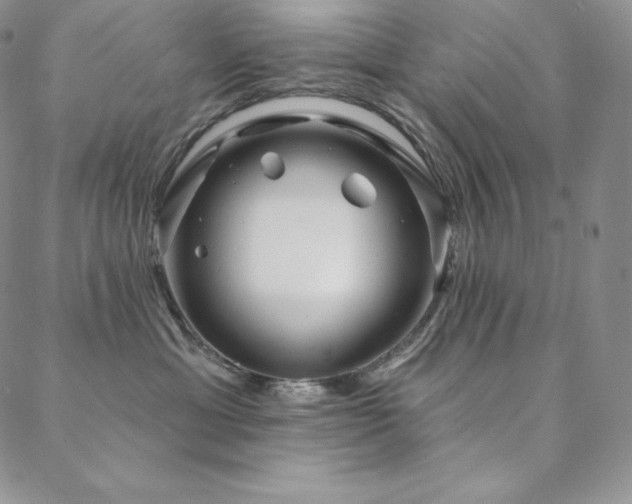 X0000088710429200705311402