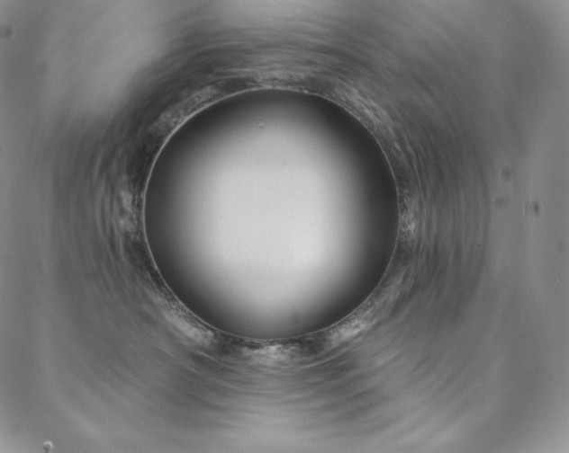 X0000088710430200705311402