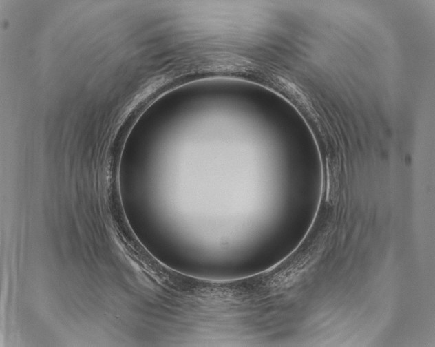 X0000088710435200705311401