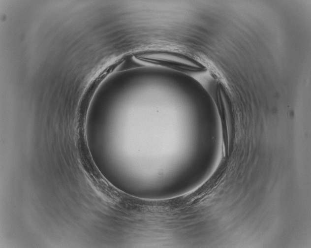 X0000088710436200705311401