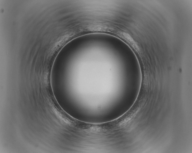 X0000088710441200705311402