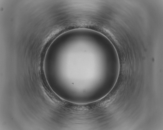 X0000088710443200705311402