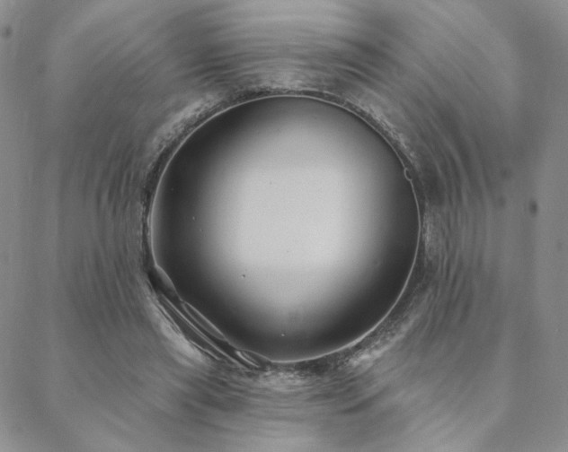 X0000088710445200705311402