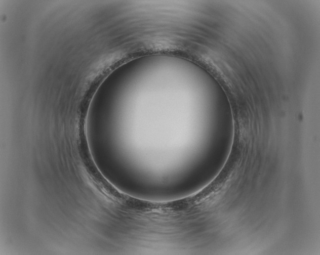 X0000088710447200705311402
