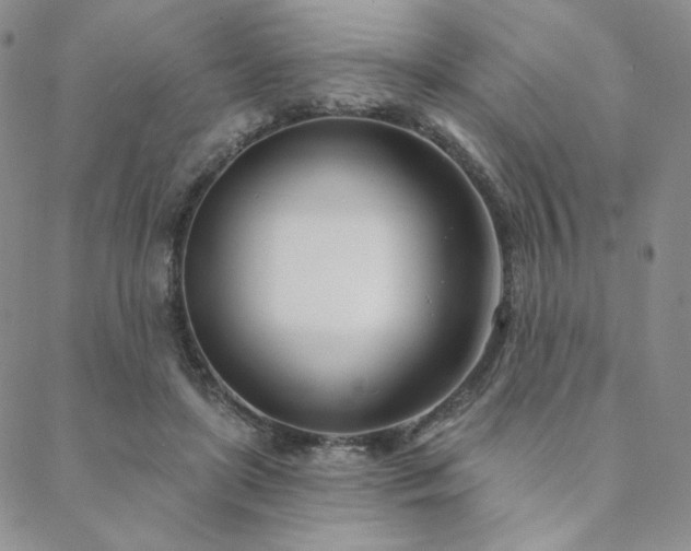 X0000088710451200705311402