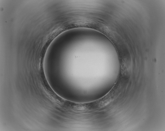 X0000088710454200705311402