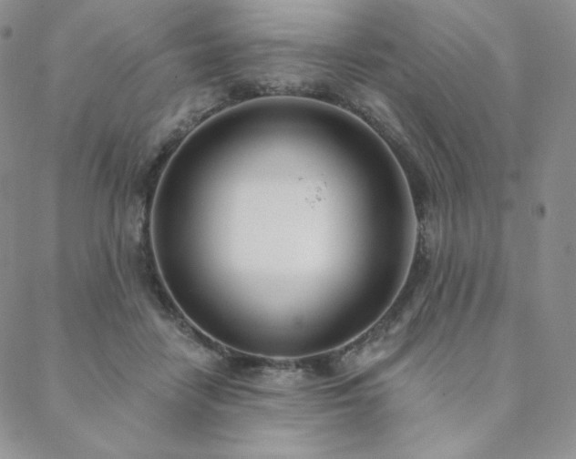 X0000088710458200705311402
