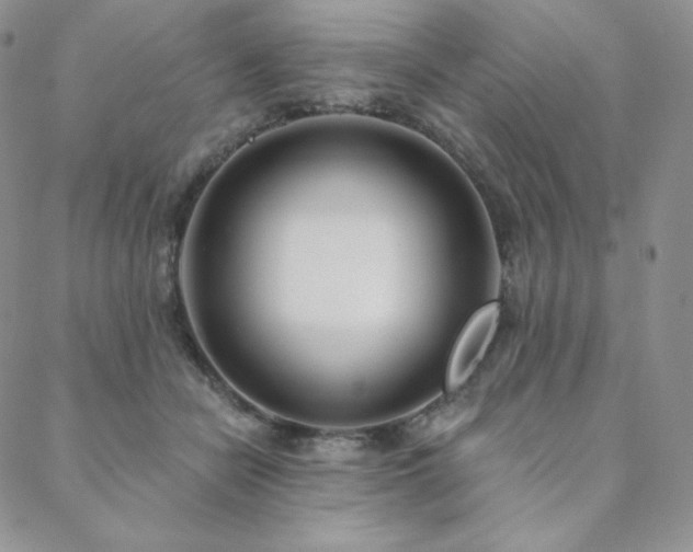X0000088710462200705311402