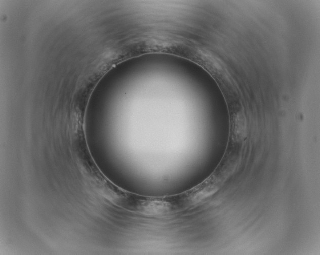 X0000088710463200705311402