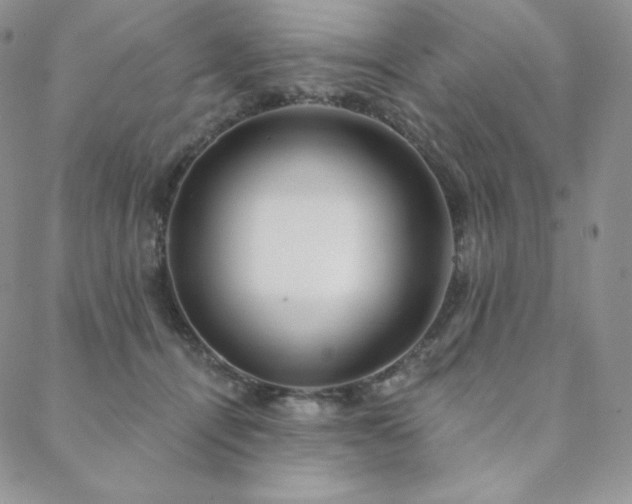 X0000088710464200705311402