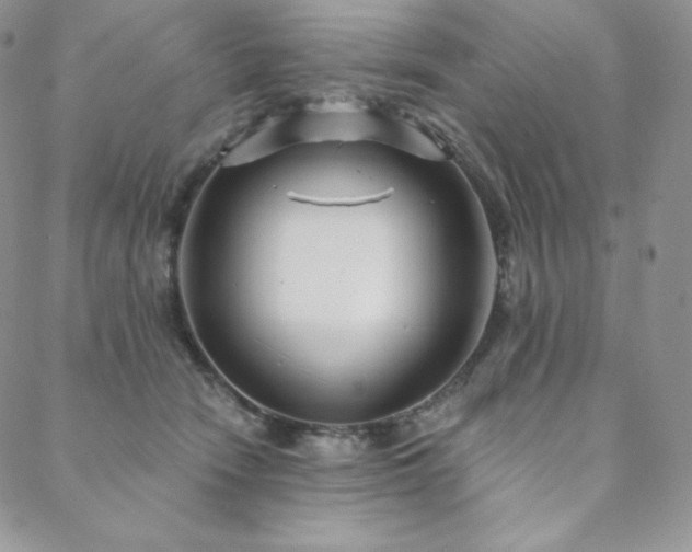 X0000088710466200705311402